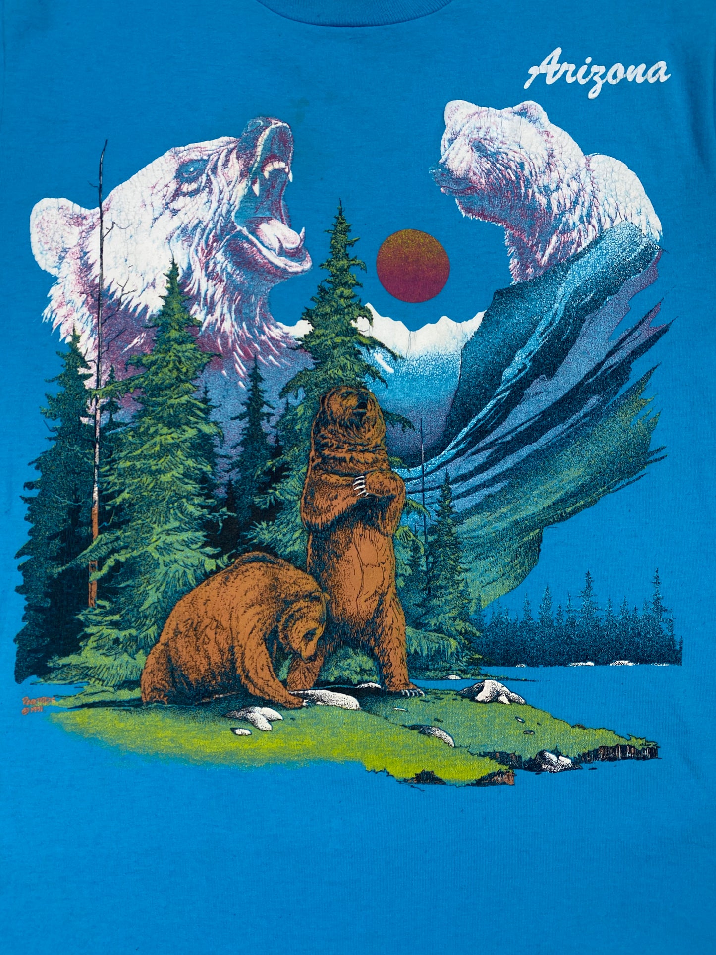 1991 Arizona Grizzly Bear Graphic T Shirt by Ragtops/Screen Stars Best